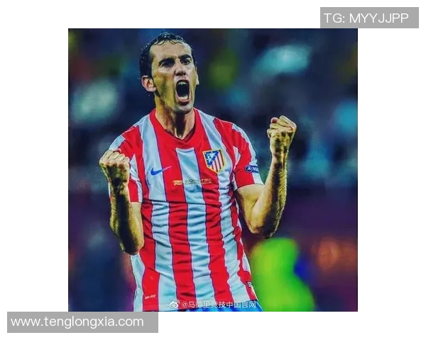 戈丁:欧冠破门难救马竞欧洲杯急切望证明自我